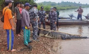 satu-buaya-masih-berkeliaran-dispar-kepri-tegaskan-keamanan-wisata-di-batam